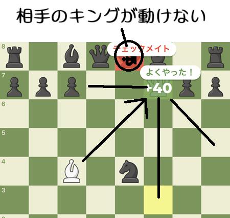 チェスの詰んでチェックメイトした瞬間の解説。