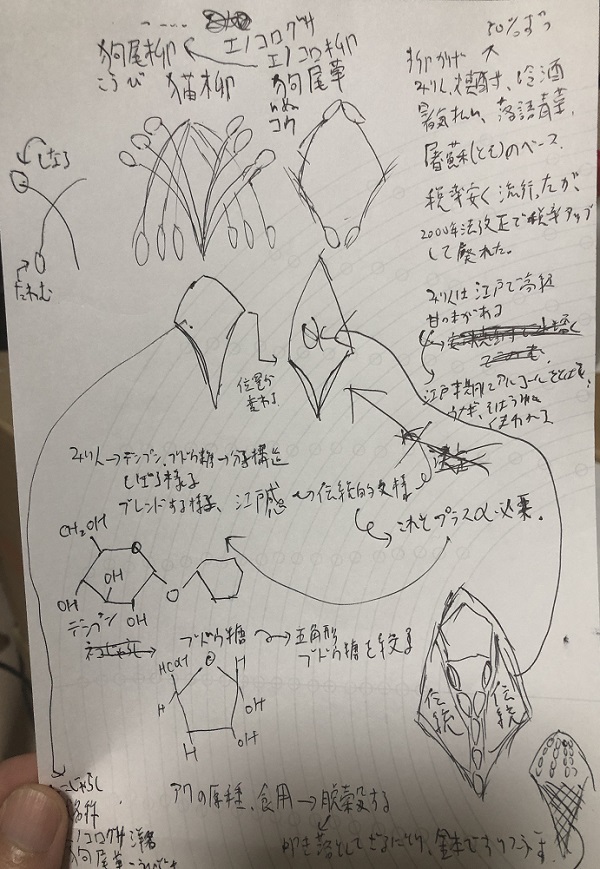 猫柳タンブラー、江戸切子、初期構想メモ